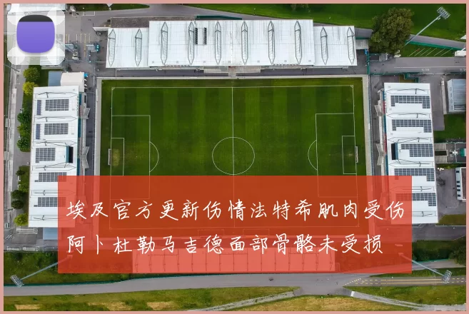 埃及官方更新伤情法特希肌肉受伤阿卜杜勒马吉德面部骨骼未受损