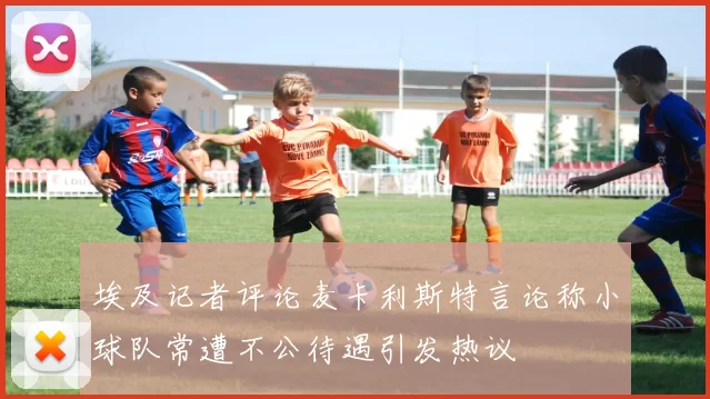 埃及记者评论麦卡利斯特言论称小球队常遭不公待遇引发热议