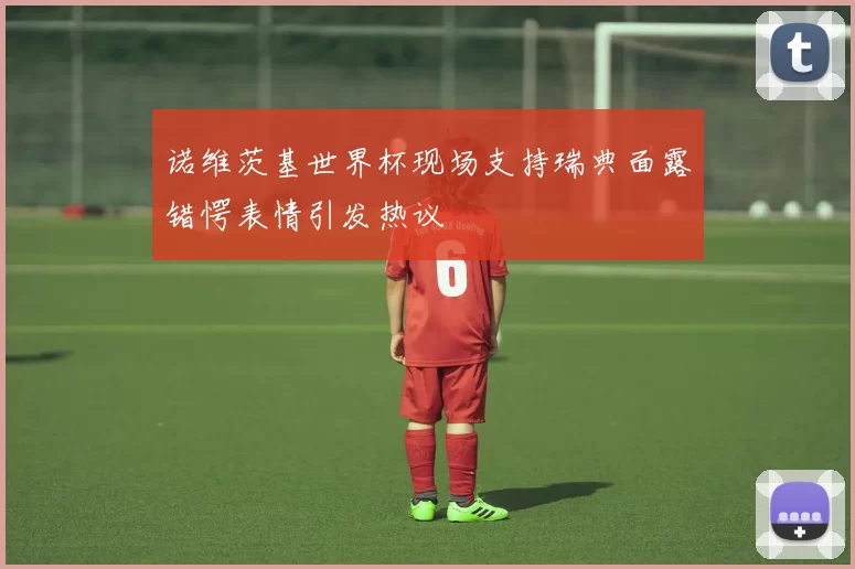 诺维茨基世界杯现场支持瑞典面露错愕表情引发热议
